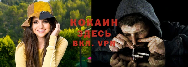 винт Дмитров