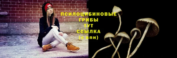 винт Дмитров