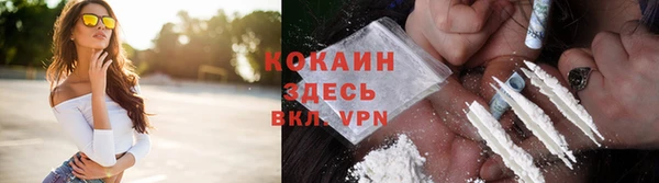 винт Дмитров