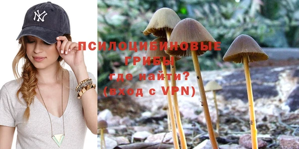 винт Дмитров