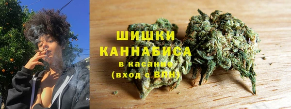 винт Дмитров