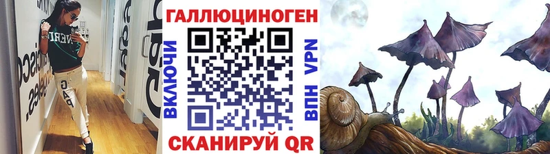 Купить закладки  Геленджик  Псилоцибиновые грибы мухоморы 